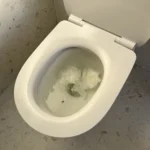 Call STL Plumbing for same day Emergency Toilet Repairs on the Gold Coast