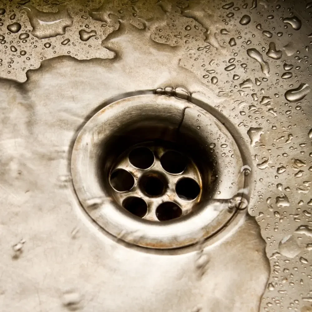 A stainless steel kitchen sink with free draining water after a professional plumber cleaned the drains
