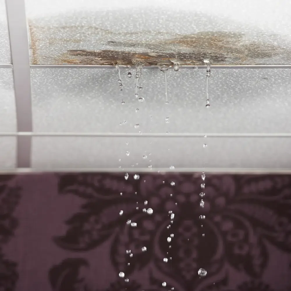 Request urgent leak repairs from trusted plumbers